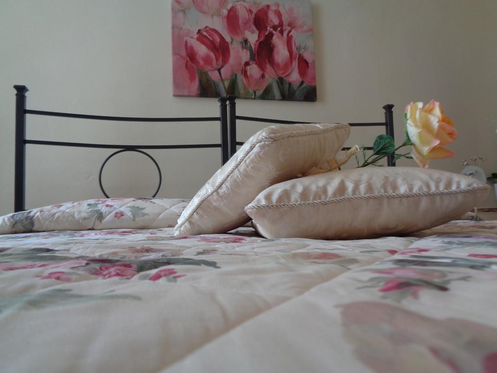 Affittacamere La Camelia Lucca Dış mekan fotoğraf